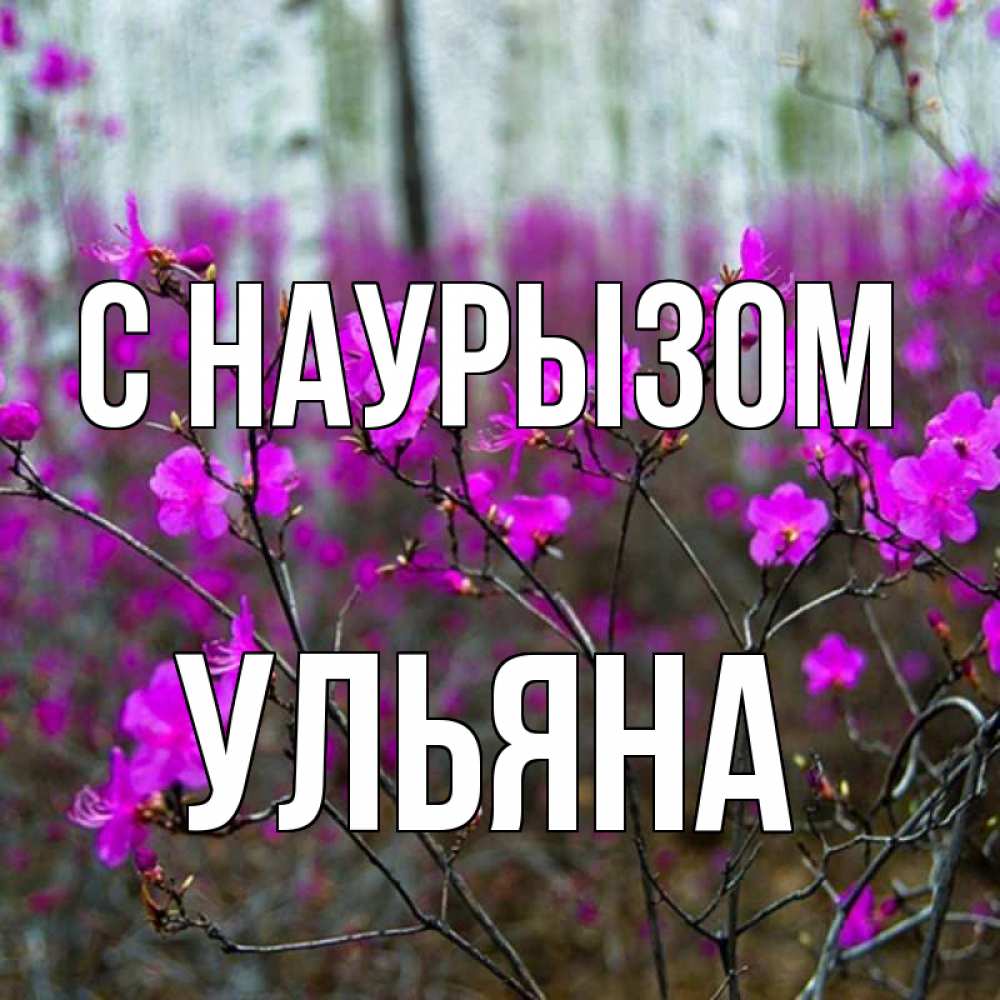 Открытка на каждый день с именем, Ульяна С наурызом дикие цветы Прикольная открытка с пожеланием онлайн скачать бесплатно 
