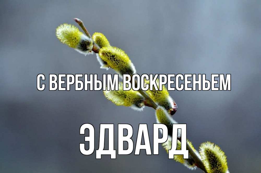 Открытка на каждый день с именем, Эдвард С вербным воскресеньем верба Прикольная открытка с пожеланием онлайн скачать бесплатно 