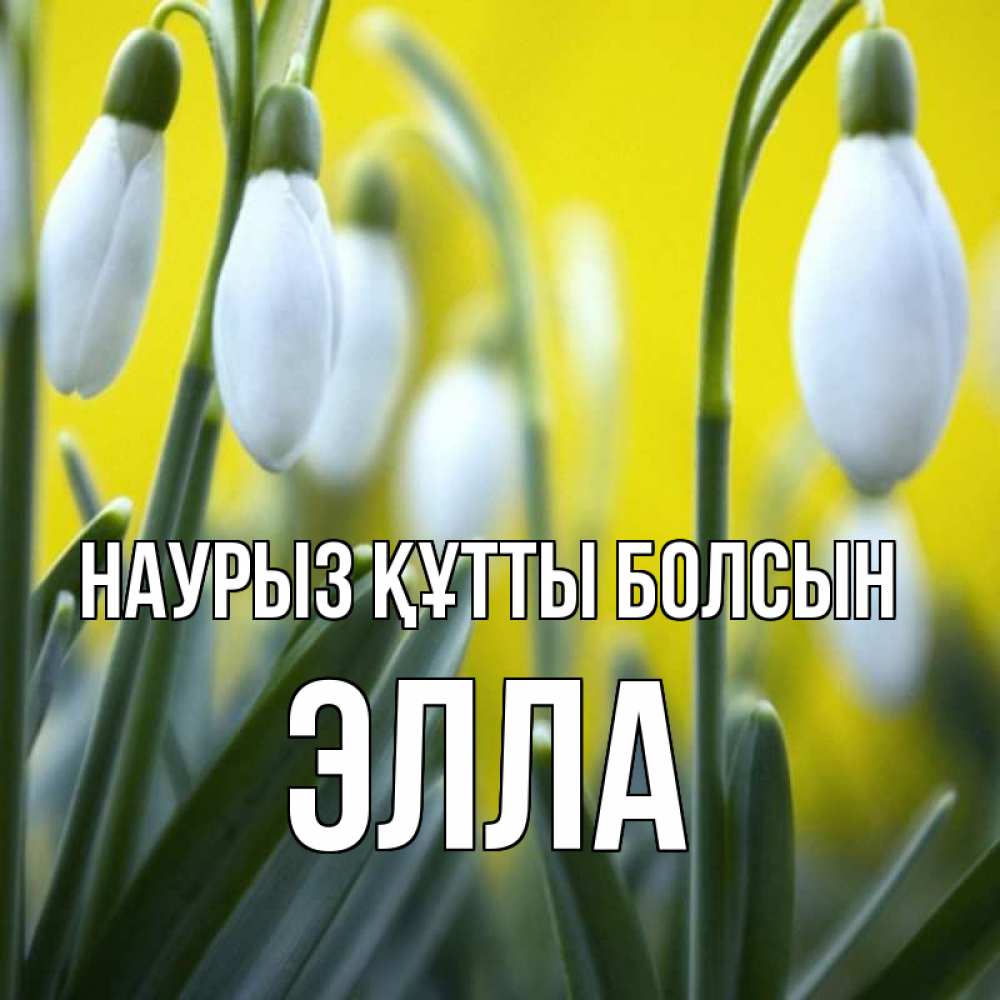 Открытка на каждый день с именем, Элла Наурыз құтты болсын весенние цветы Прикольная открытка с пожеланием онлайн скачать бесплатно 