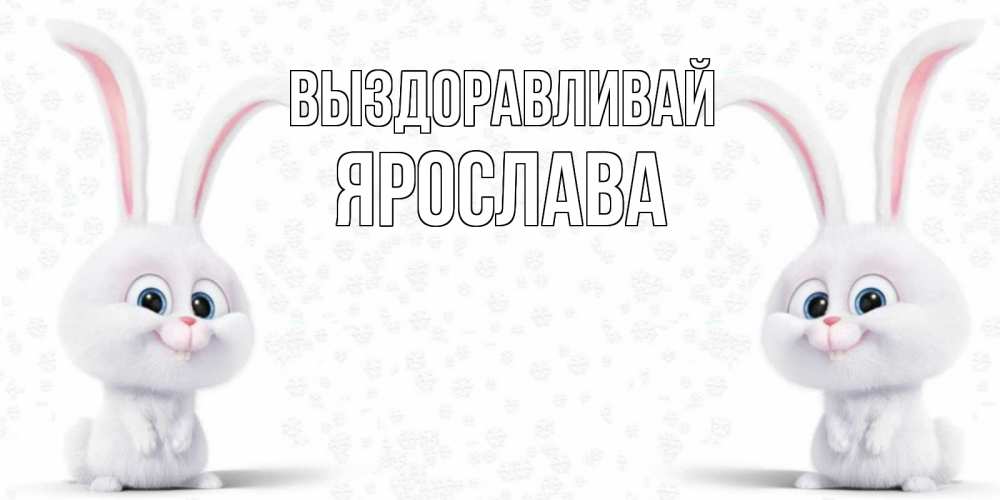 Открытка на каждый день с именем, Ярослава Выздоравливай не болей с зайцем Прикольная открытка с пожеланием онлайн скачать бесплатно 