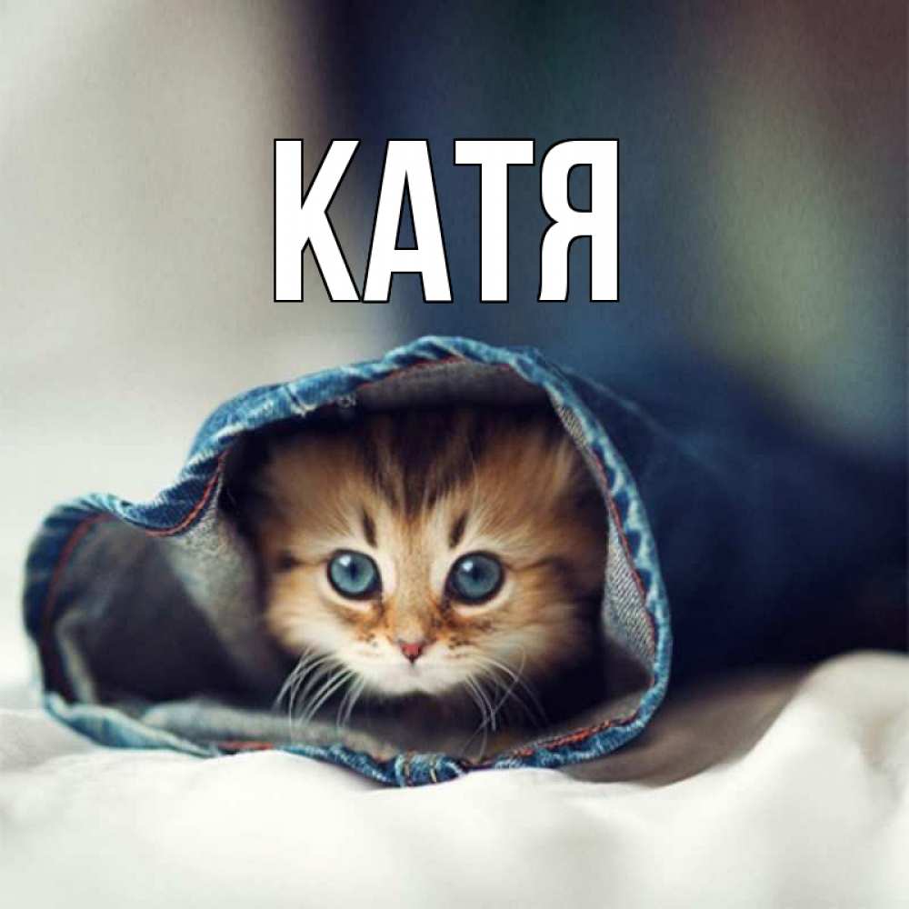 Картинка  с именем , Катя