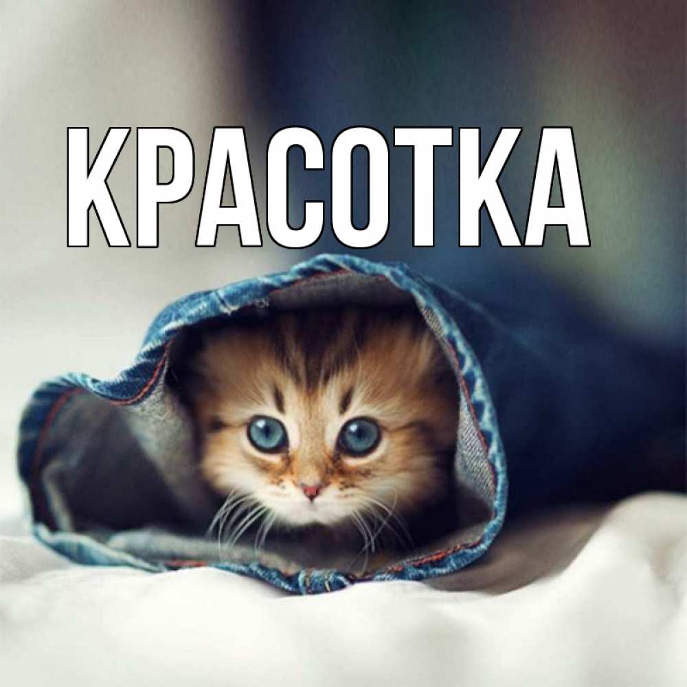 Картинка  с именем , красотка