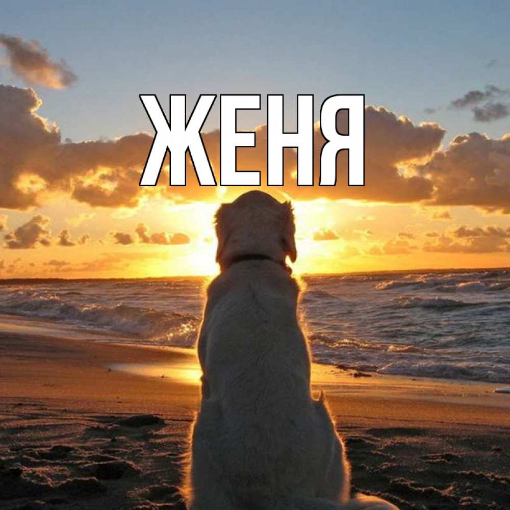 Открытка на каждый день с именем, Женя Главная восход солнца Прикольная открытка с пожеланием онлайн скачать бесплатно 
