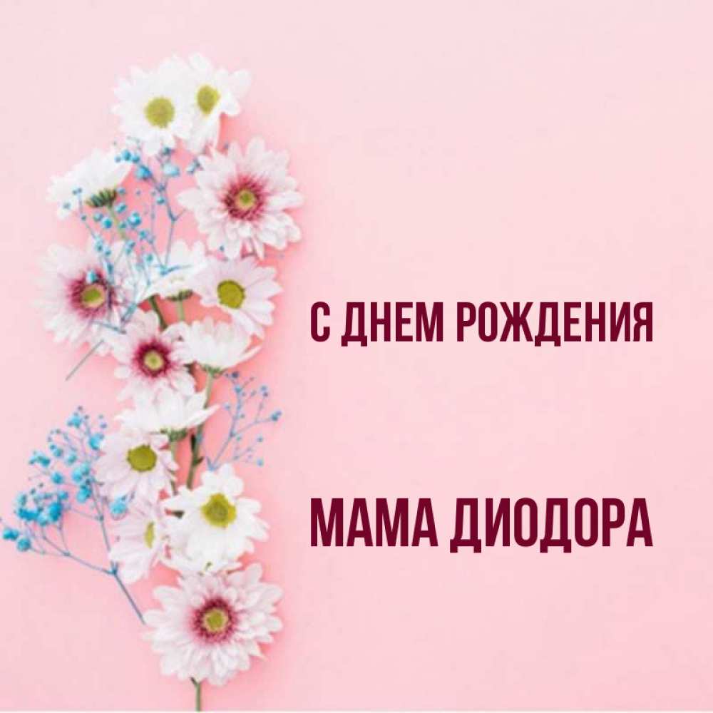 Открытка на каждый день с именем, Мама-Диодора С днем рождения Родная моя с днем рождения тебя картинка с цветами белыми и голубыми Прикольная открытка с пожеланием онлайн скачать бесплатно 
