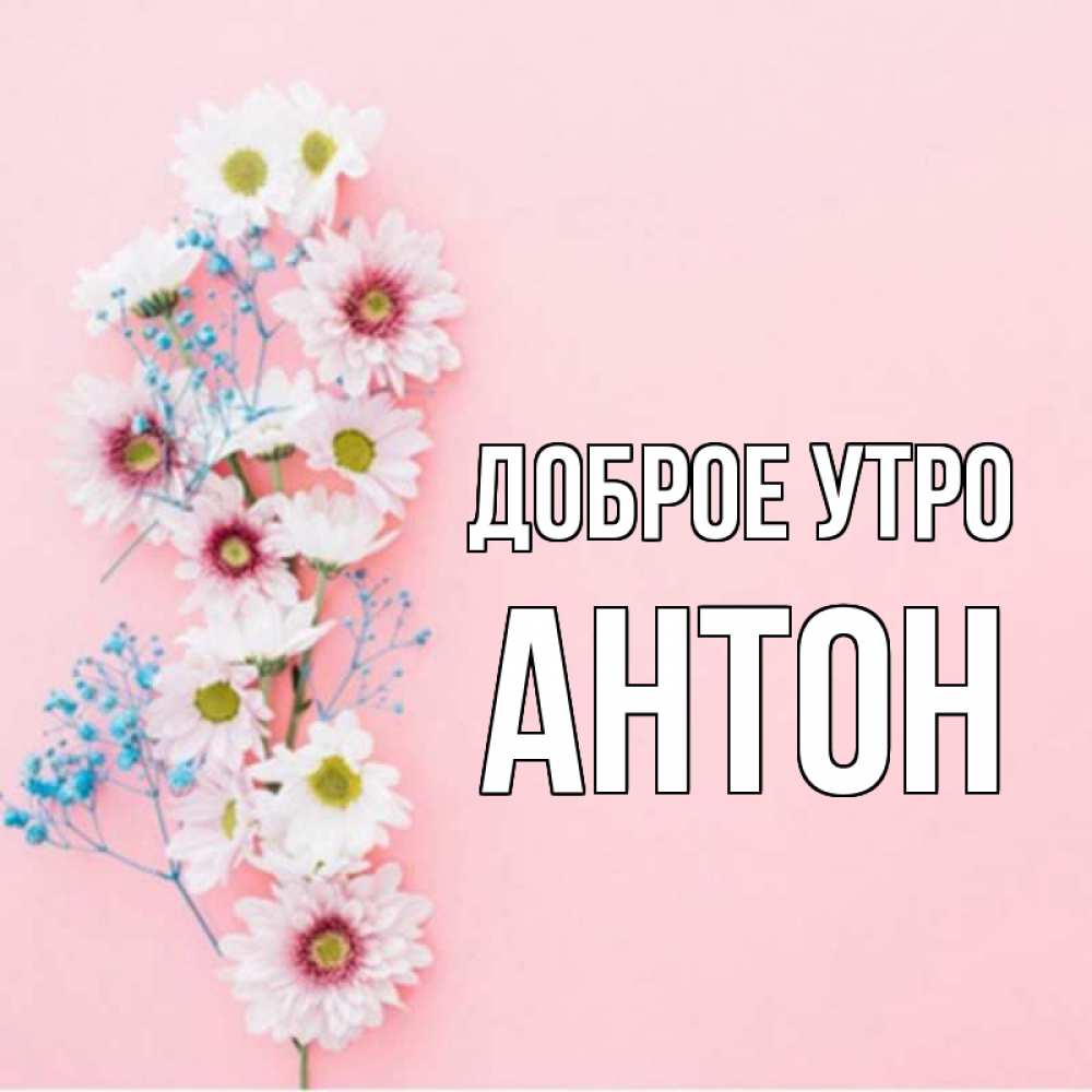 Доброе утро антон картинки