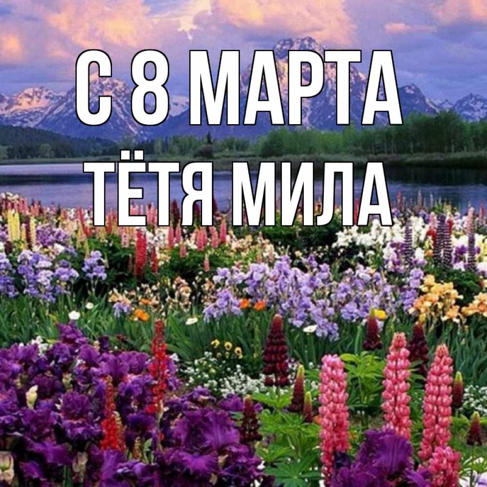 Открытка на каждый день с именем, Тётя-Мила С 8 МАРТА международный женский день Прикольная открытка с пожеланием онлайн скачать бесплатно 