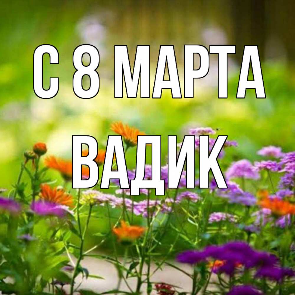 Открытка на каждый день с именем, Вадик С 8 МАРТА цветы Прикольная открытка с пожеланием онлайн скачать бесплатно 