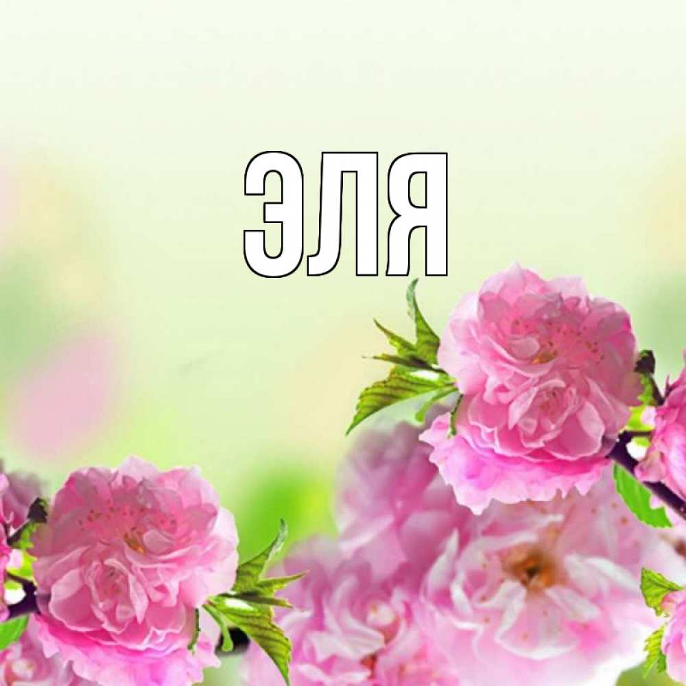 Открытка эля
