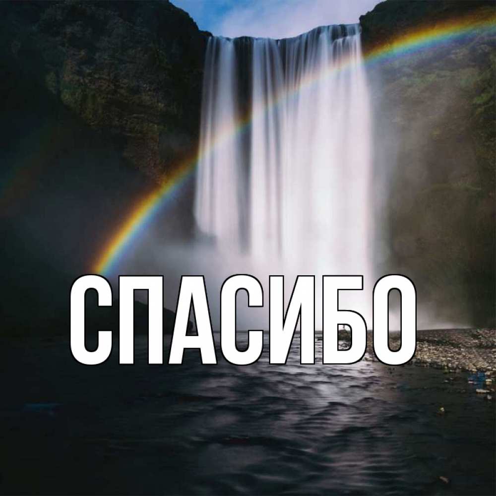 спасибо главный экран