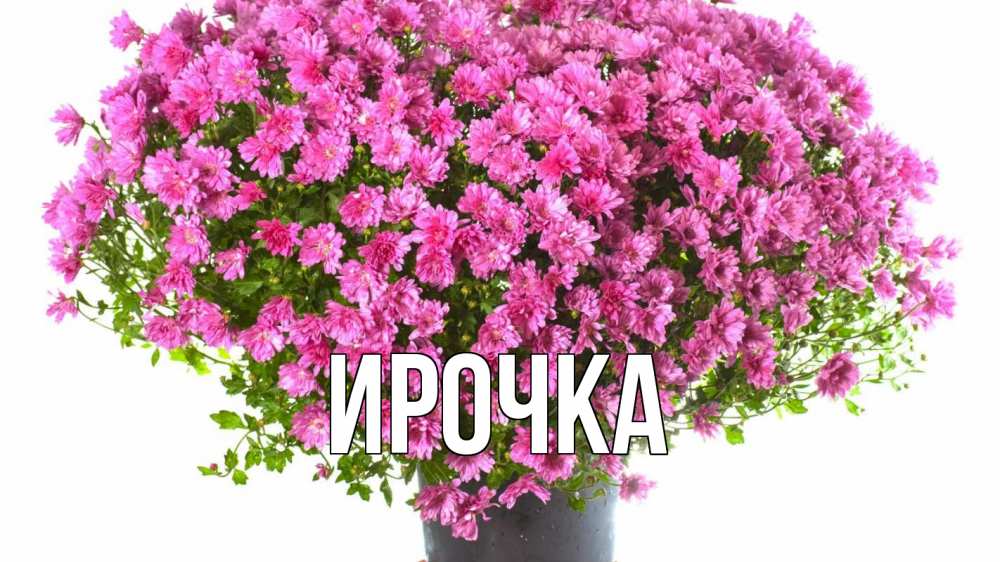 Картинка  с именем , ирочка