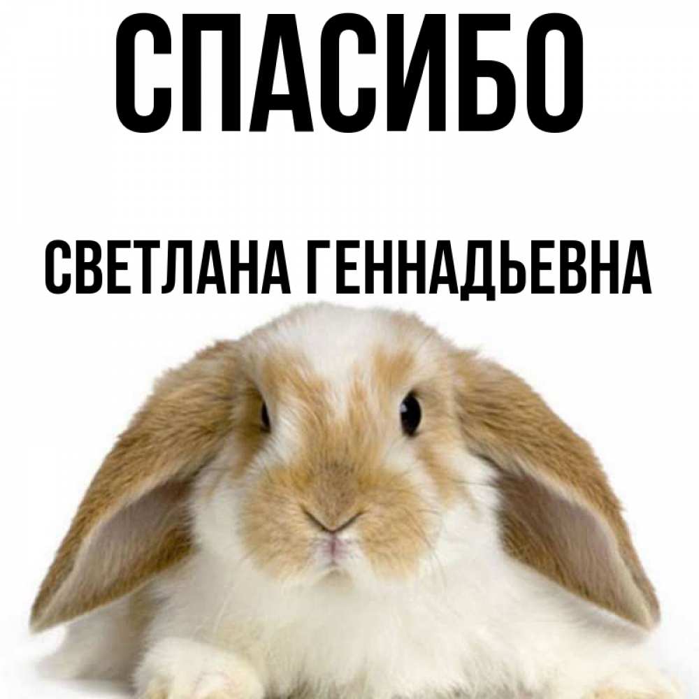 Спасибо геннадьевна Спасибо геннадьевна