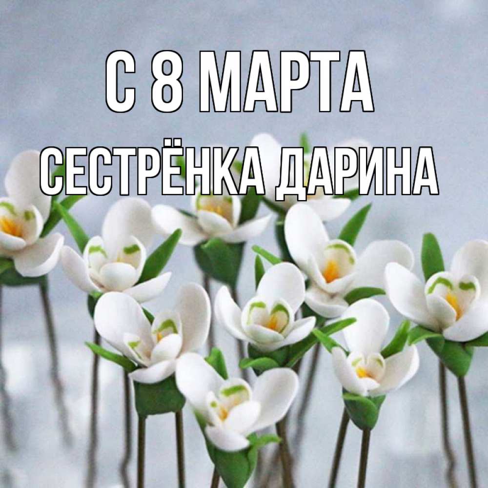 Открытка на каждый день с именем, Сестрёнка-Дарина С 8 МАРТА весенние цветы Прикольная открытка с пожеланием онлайн скачать бесплатно 