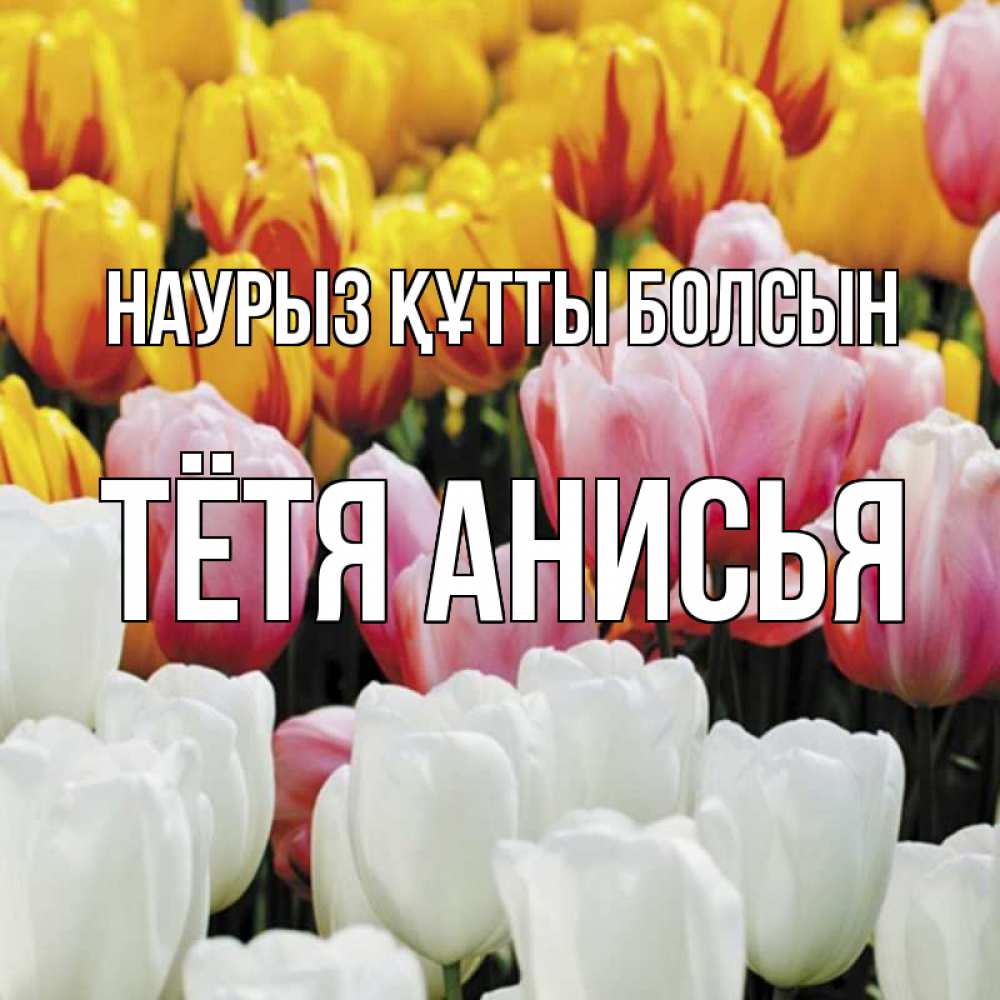 Открытка на каждый день с именем, Тётя-Анисья Наурыз құтты болсын разноцветные цветы Прикольная открытка с пожеланием онлайн скачать бесплатно 