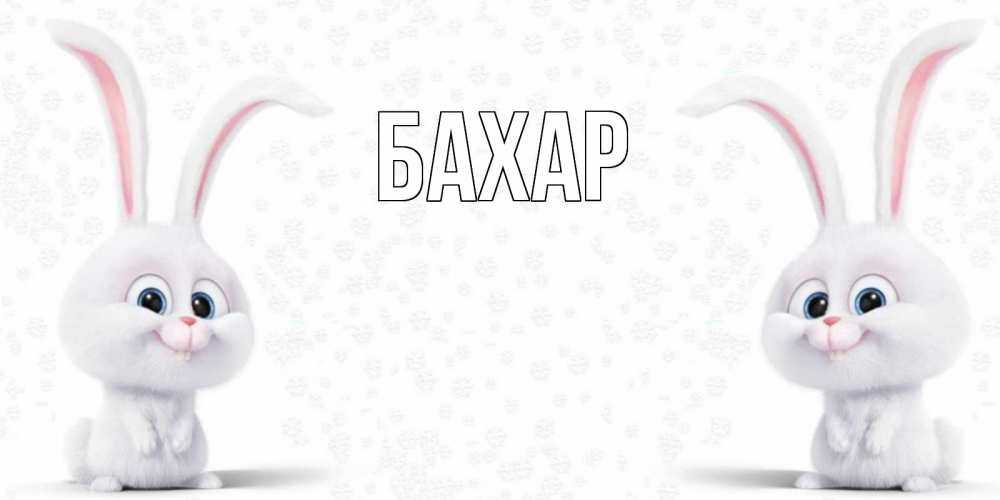 Открытка на каждый день с именем, Бахар Главная не болей с зайцем Прикольная открытка с пожеланием онлайн скачать бесплатно 