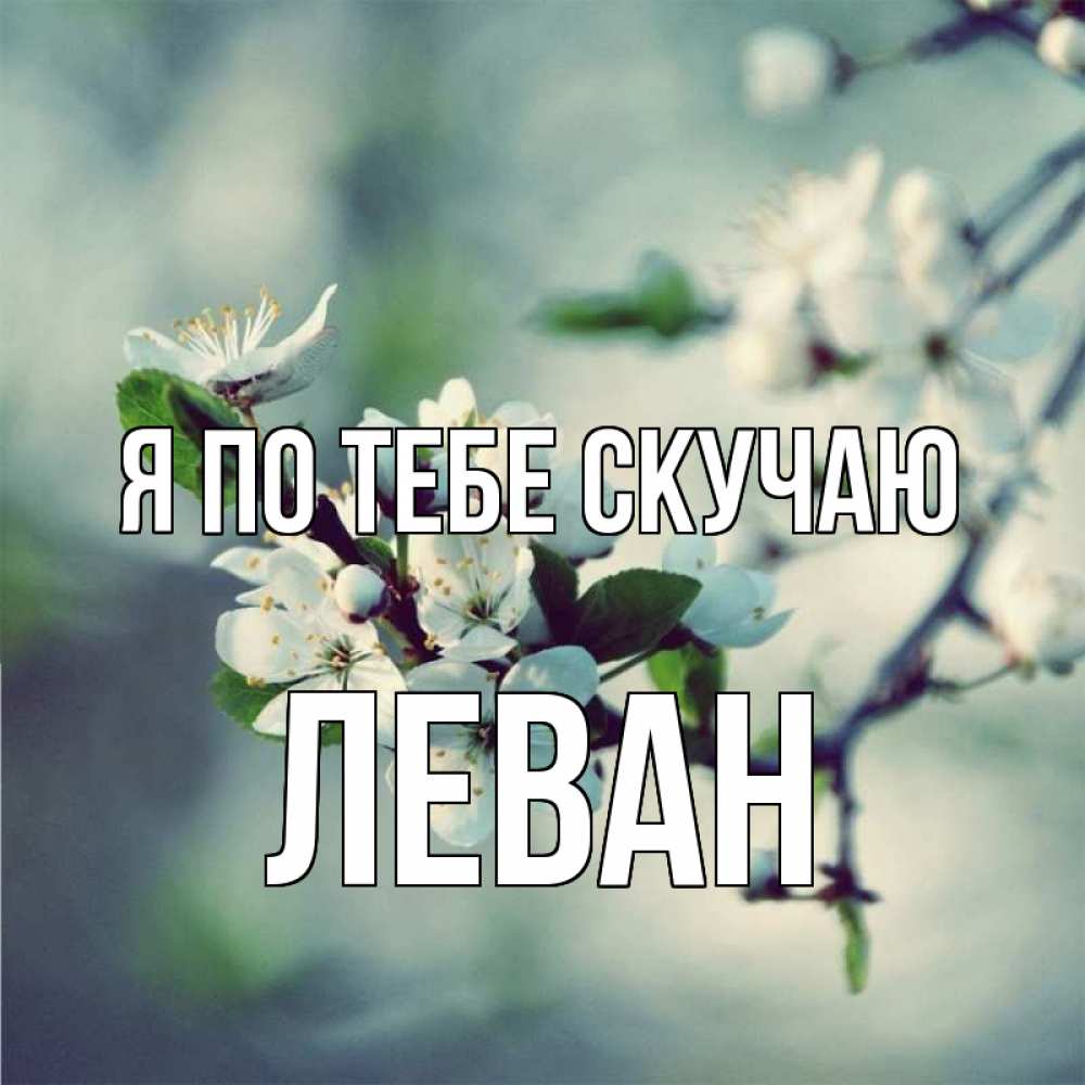 Открытка на каждый день с именем, Леван Я по тебе скучаю весна Прикольная открытка с пожеланием онлайн скачать бесплатно 