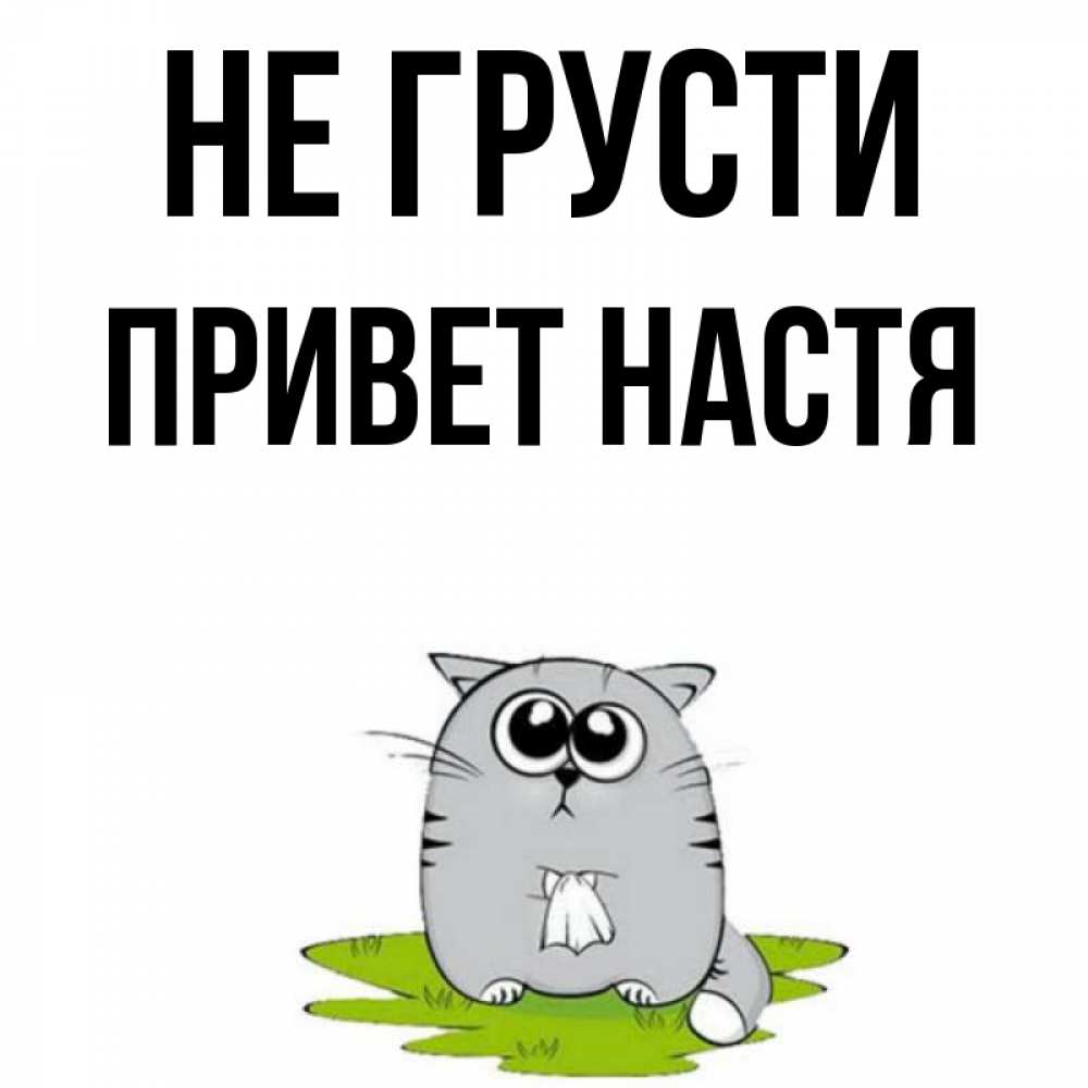 Привет насть пожалуйста. Привет Настя. Привет крошка картинки прикольные. Кот Настя привет.