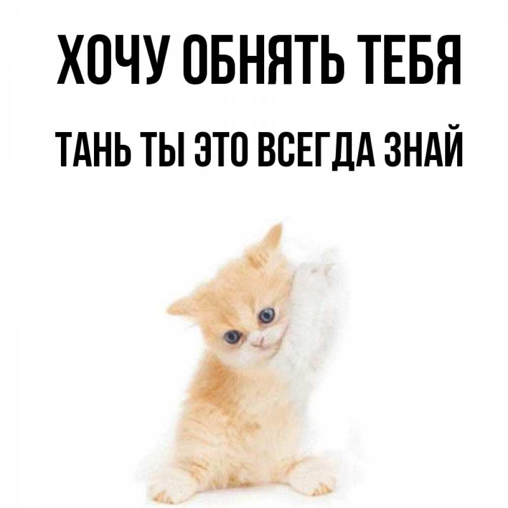 Что у тебя с таней. Что у тебя с таней