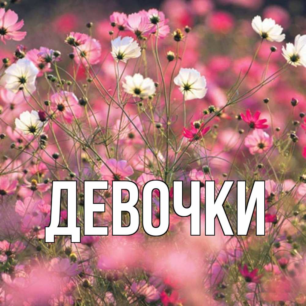 Нежное имя девушки