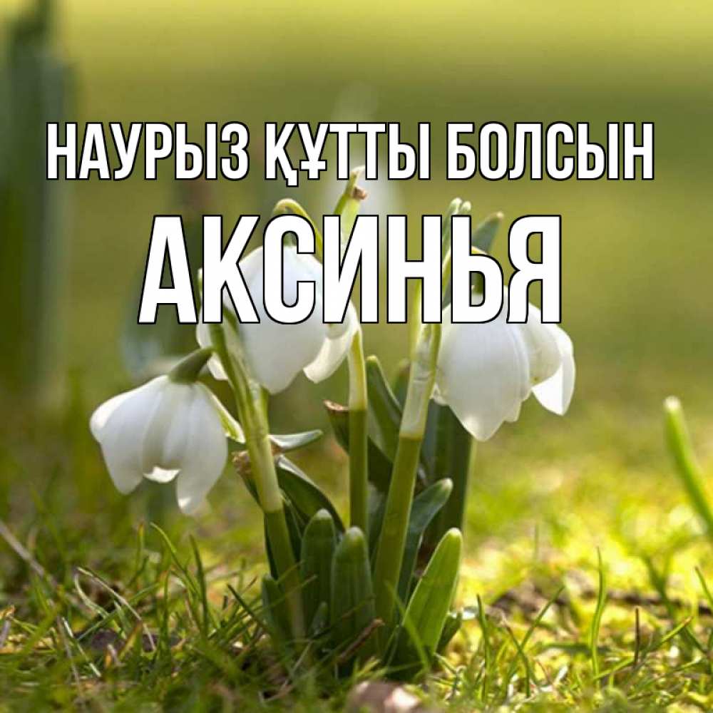 Открытка на каждый день с именем, Аксинья Наурыз құтты болсын ранние цветы 2 Прикольная открытка с пожеланием онлайн скачать бесплатно 