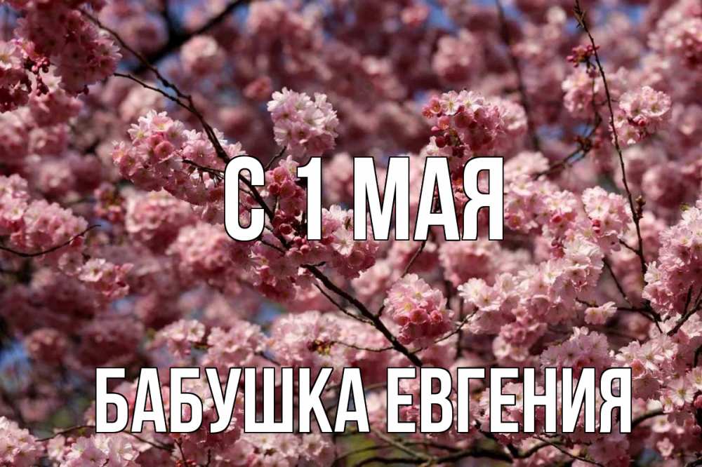 Открытка на каждый день с именем, Бабушка-Евгения С 1 мая С 1 мая Прикольная открытка с пожеланием онлайн скачать бесплатно 