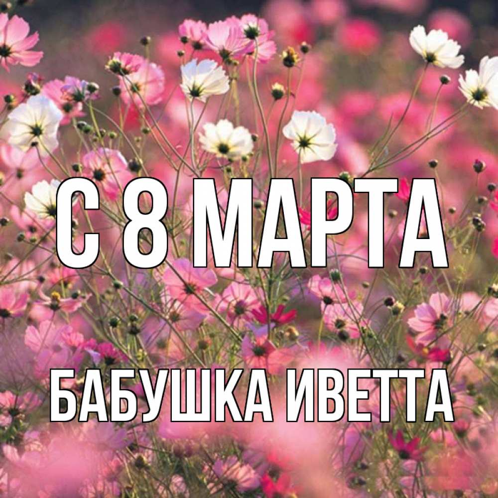 Открытка на каждый день с именем, Бабушка-Иветта С 8 марта красиво 1 Прикольная открытка с пожеланием онлайн скачать бесплатно 