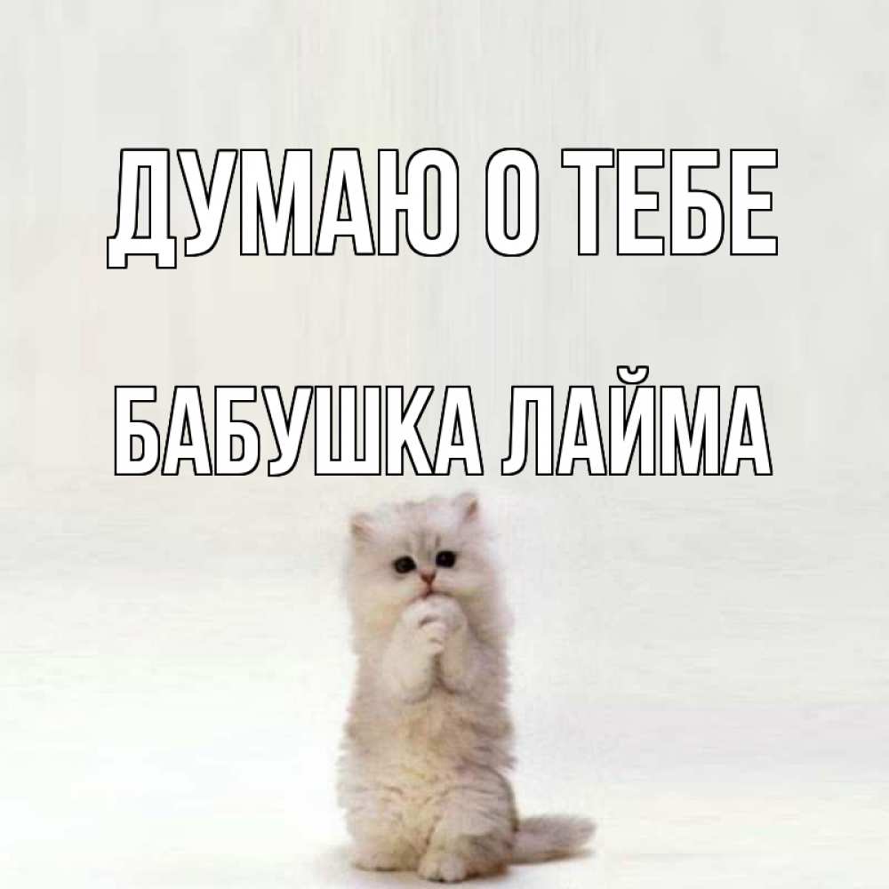 Открытка на каждый день с именем, Бабушка-Лайма Думаю о тебе кот стоит на задних лапах Прикольная открытка с пожеланием онлайн скачать бесплатно 