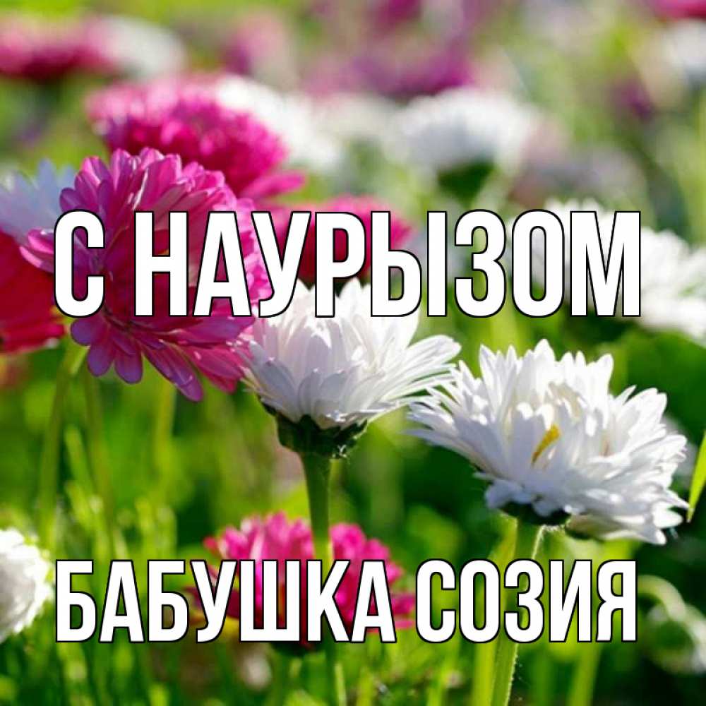 Открытка на каждый день с именем, Бабушка-Созия С наурызом праздник весны наурыз красота Прикольная открытка с пожеланием онлайн скачать бесплатно 