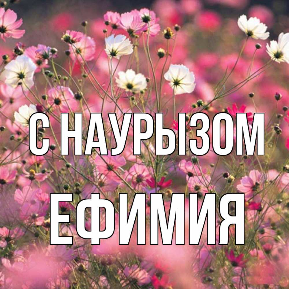 Открытка на каждый день с именем, Ефимия С наурызом красиво 1 Прикольная открытка с пожеланием онлайн скачать бесплатно 