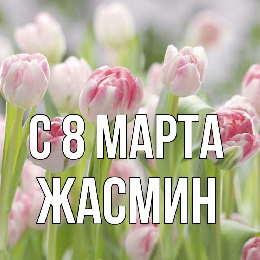 Открытка на каждый день с именем, Жасмин С 8 МАРТА цветы Прикольная открытка с пожеланием онлайн скачать бесплатно 