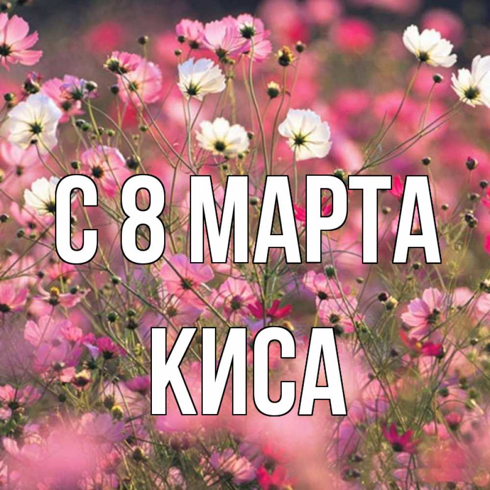 Открытка на каждый день с именем, КИСА С 8 марта красиво 1 Прикольная открытка с пожеланием онлайн скачать бесплатно 