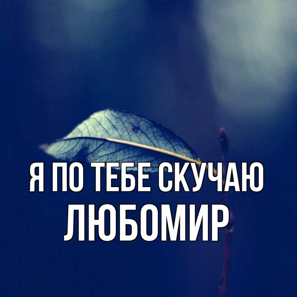 Открытка на каждый день с именем, Любомир Я по тебе скучаю одна ветка 1 Прикольная открытка с пожеланием онлайн скачать бесплатно 