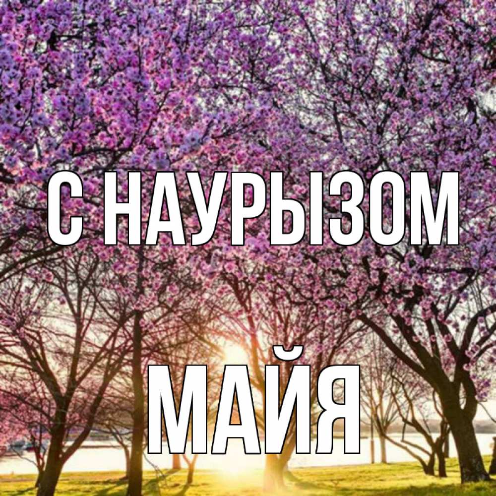Открытка на каждый день с именем, Майя С наурызом праздник весны наурыз Прикольная открытка с пожеланием онлайн скачать бесплатно 