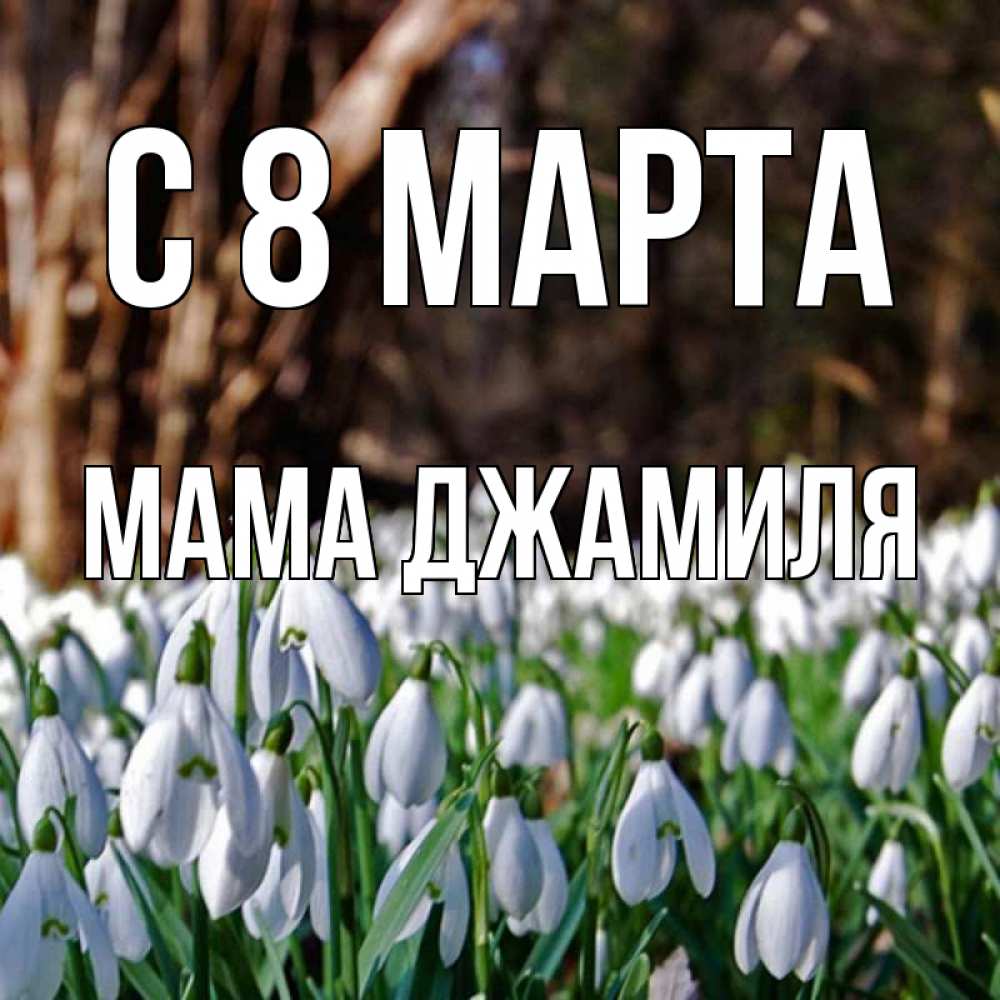 Открытка на каждый день с именем, Мама-Джамиля С 8 МАРТА с подснежниками 1 Прикольная открытка с пожеланием онлайн скачать бесплатно 