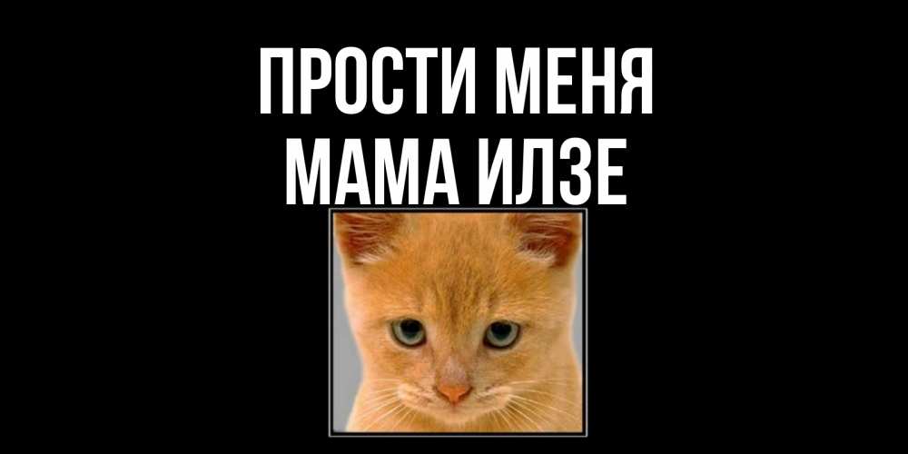 Открытка на каждый день с именем, Мама-Илзе Прости меня рыжий грустный кот просит прощения Прикольная открытка с пожеланием онлайн скачать бесплатно 