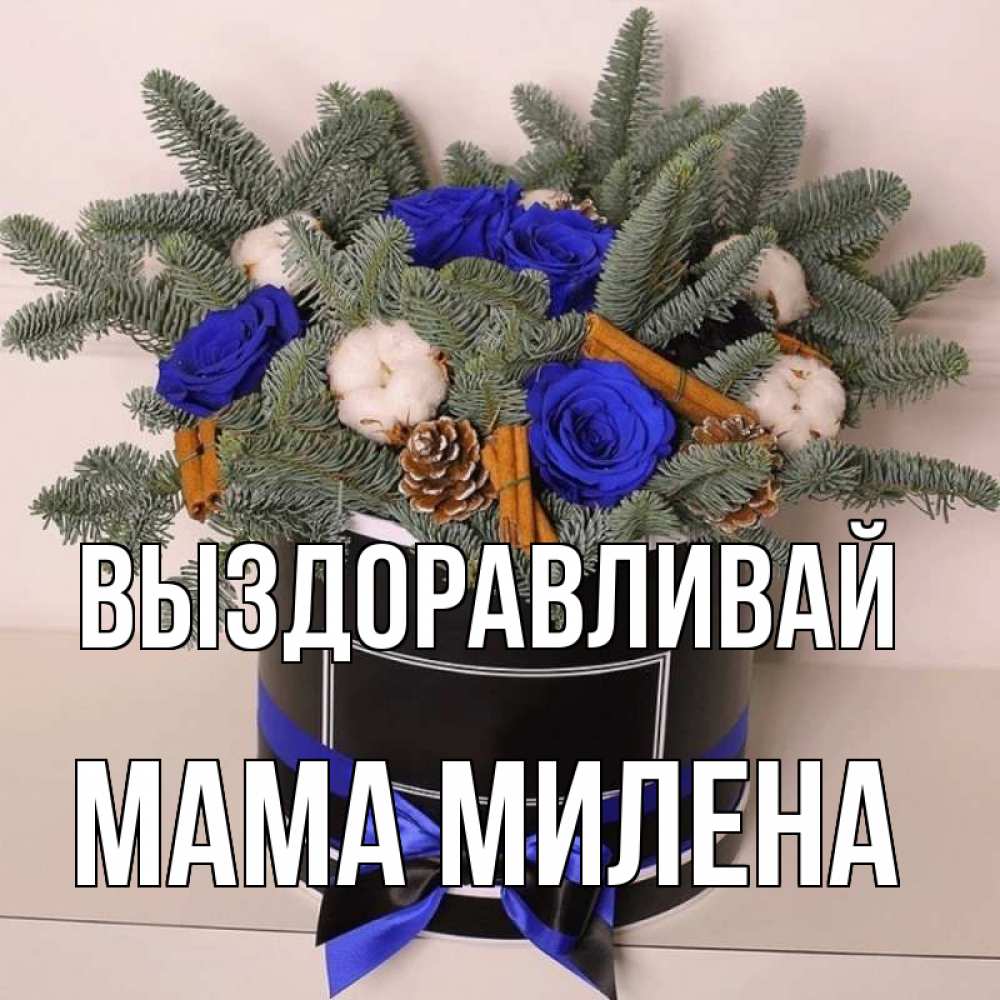 Открытка на каждый день с именем, Мама-Милена Выздоравливай короче кто то загрузил эти шишки Прикольная открытка с пожеланием онлайн скачать бесплатно 