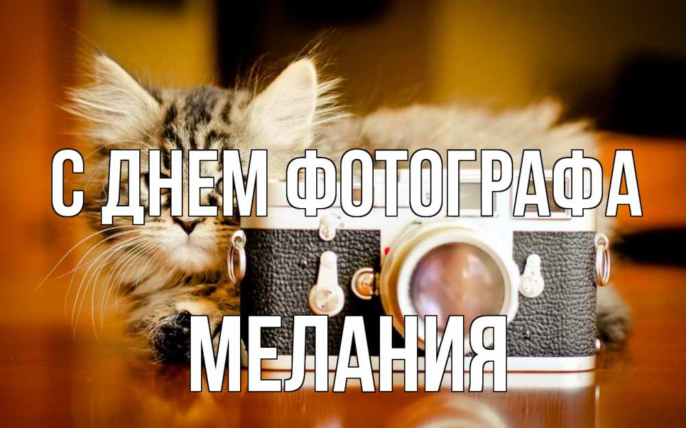 Открытка на каждый день с именем, Мелания С днем фотографа с днем фотографа Прикольная открытка с пожеланием онлайн скачать бесплатно 