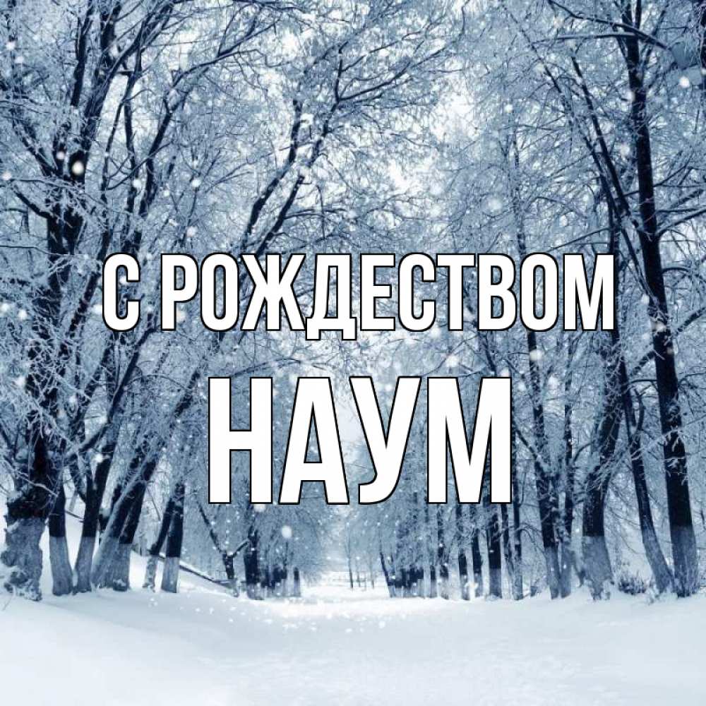 Открытка на каждый день с именем, Наум С рождеством снег, лес, парк Прикольная открытка с пожеланием онлайн скачать бесплатно 