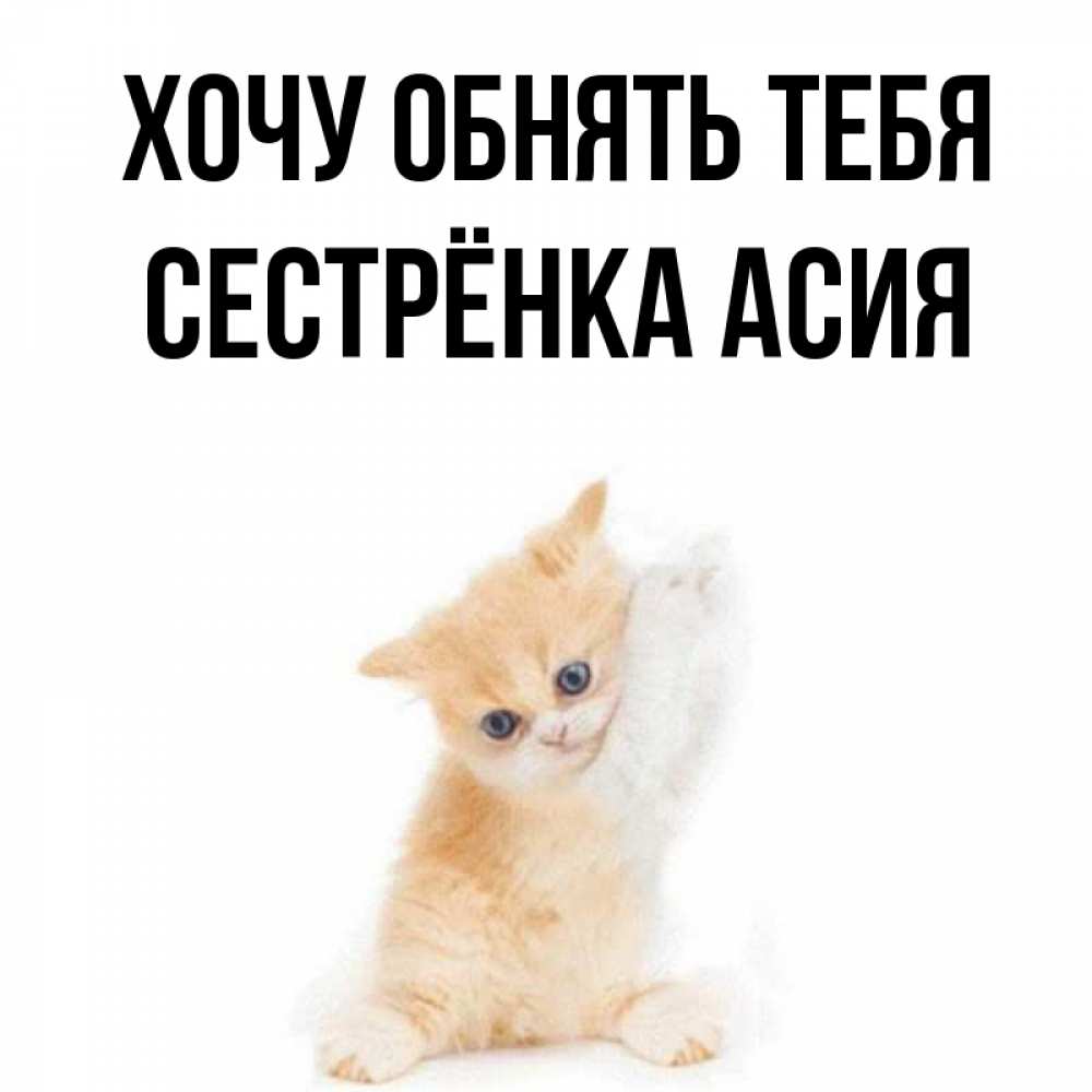 Открытка на каждый день с именем, Сестрёнка-Асия Хочу обнять тебя я хочу очень скорее обнимаешек Прикольная открытка с пожеланием онлайн скачать бесплатно 