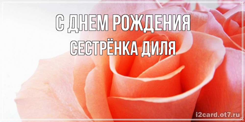 Открытка на каждый день с именем, Сестрёнка-Диля С днем рождения розы для поздравления с днем рождения Прикольная открытка с пожеланием онлайн скачать бесплатно 
