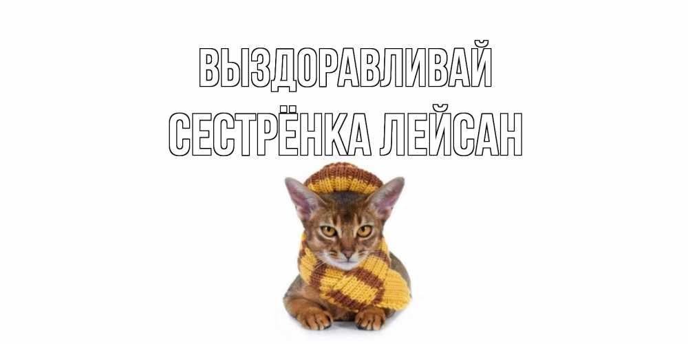 Открытка на каждый день с именем, Сестрёнка-Лейсан Выздоравливай родные не болейте Прикольная открытка с пожеланием онлайн скачать бесплатно 