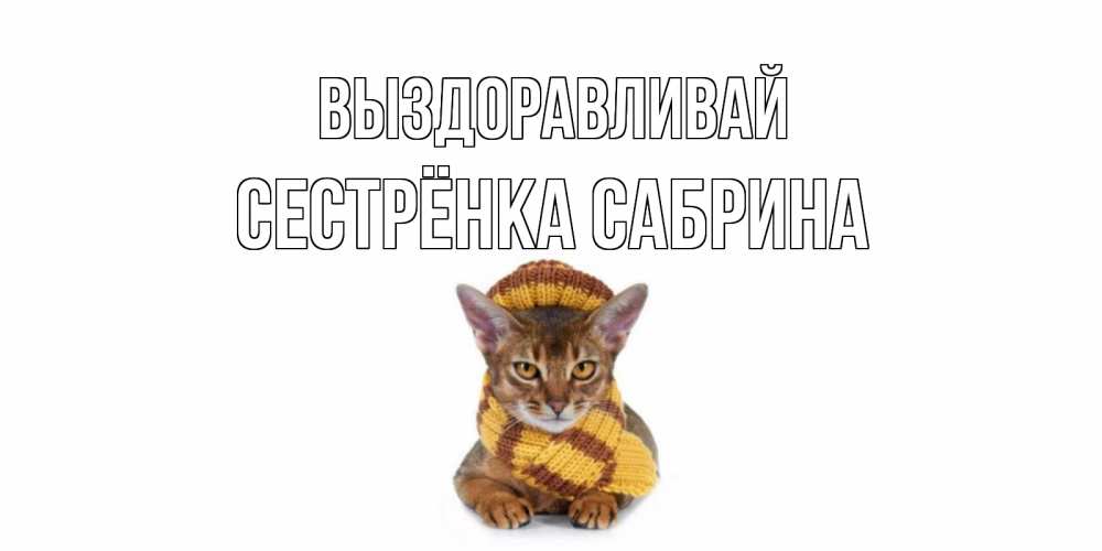 Открытка на каждый день с именем, Сестрёнка-Сабрина Выздоравливай родные не болейте Прикольная открытка с пожеланием онлайн скачать бесплатно 