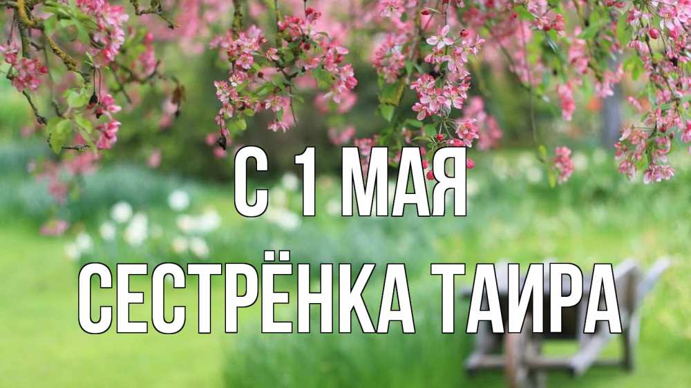 Открытка на каждый день с именем, Сестрёнка-Таира С 1 мая С 1 мая Прикольная открытка с пожеланием онлайн скачать бесплатно 