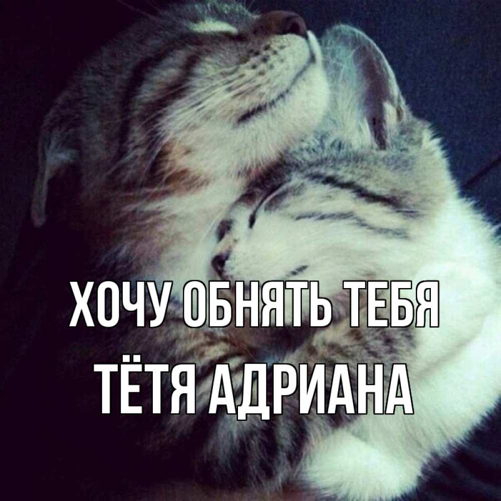 Открытка на каждый день с именем, Тётя-Адриана Хочу обнять тебя полосатики Прикольная открытка с пожеланием онлайн скачать бесплатно 
