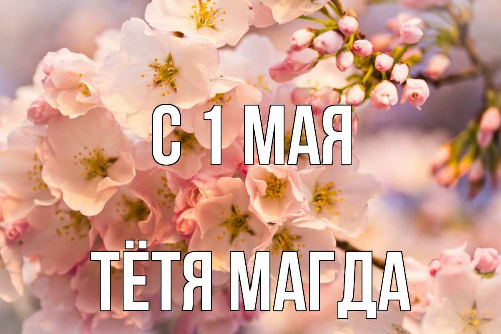 Открытка на каждый день с именем, Тётя-Магда С 1 мая С 1 мая Прикольная открытка с пожеланием онлайн скачать бесплатно 