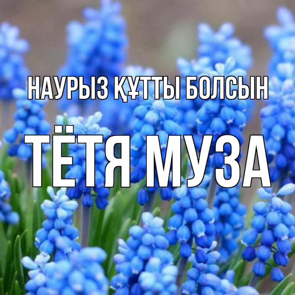 Открытка на каждый день с именем, Тётя-Муза Наурыз құтты болсын Поздравительная открытка для женщин с цветами на праздничную дату Прикольная открытка с пожеланием онлайн скачать бесплатно 