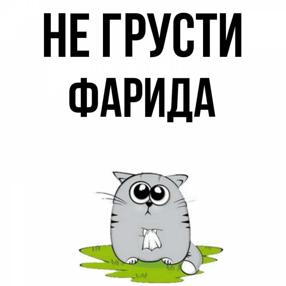 Открытка на каждый день с именем, Фарида Не грусти грустный котяра Прикольная открытка с пожеланием онлайн скачать бесплатно 