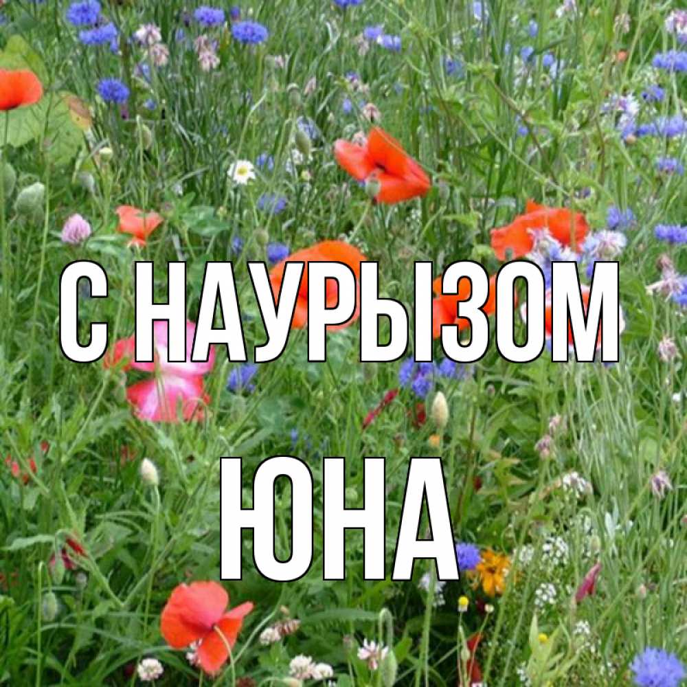 Открытка на каждый день с именем, Юна С наурызом праздник весны наурыз супер открытка Прикольная открытка с пожеланием онлайн скачать бесплатно 