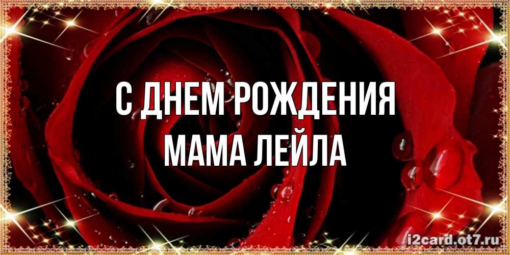 Открытка на каждый день с именем, Мама-Лейла С днем рождения цветок в росе на день рождения Прикольная открытка с пожеланием онлайн скачать бесплатно 