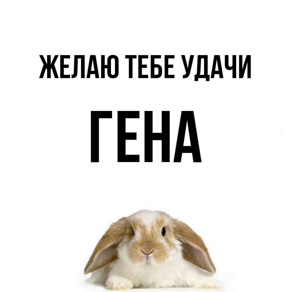 Картинка с именем гена