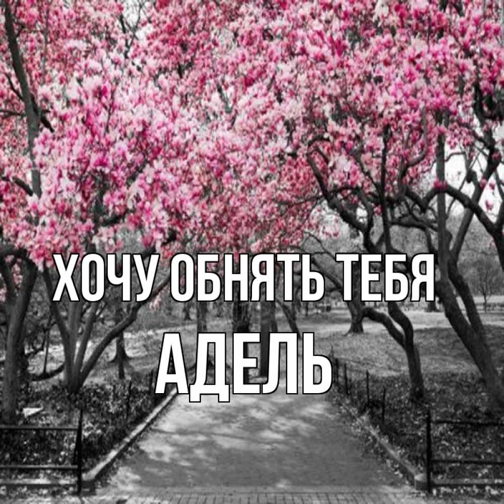 Открытка на каждый день с именем, Адель Хочу обнять тебя обработанное фото Прикольная открытка с пожеланием онлайн скачать бесплатно 